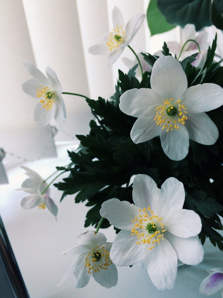 Processed with VSCOcam with g3 preset